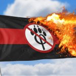 Burning anti furry flag