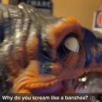 Why do you scream like a banshee? meme