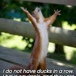 Not Organized Squirrel | I do not have ducks in a row.
I have squirrels, and they are
everywhere. | image tagged in happy squirrel,discord,funny | made w/ Imgflip meme maker