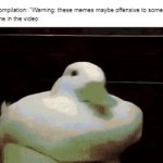 Yes it is very offensive | The Meme compilation: "Warning: these memes maybe offensive to some people"
The first meme in the video: | image tagged in gifs,ducks,memes,relatable memes,video | made w/ Imgflip video-to-gif maker