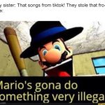THIS IS NOT OKIE DOKIE | my sister: That songs from tiktok! They stole that fro-
me: | image tagged in mario's gonna do something very illegal | made w/ Imgflip meme maker