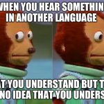 I am bilingual (Spanish and English) I am not of Hispanic descent (learned through school) and this is my life. | WHEN YOU HEAR SOMETHING IN ANOTHER LANGUAGE; THAT YOU UNDERSTAND BUT THEY HAVE NO IDEA THAT YOU UNDERSTAND | image tagged in puppet monkey looking away | made w/ Imgflip meme maker