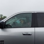 Dog Truck Driver