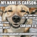 smiling dog | MY NAME IS CARSON; BUT SOMETIMES THEY CALL ME CARSON STOPTHAT; CARSON SITDOWN; CARSON STAY; CARSON DROPIT; CAAAAAAAAAAAAARSOOOOOOOOOOOOON | image tagged in smiling dog | made w/ Imgflip meme maker