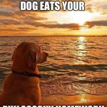 Philosophical Dog | WHEN YOUR DOG EATS YOUR; PHILOSOPHY HOMEWORK | image tagged in philosophical dog | made w/ Imgflip meme maker