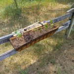 Window Box Garden