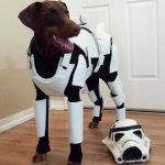 Luke Skyborker