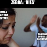 So true | ZEBRA: *DIES*; CAMERAMAN DOING A ZEBRA DOCUMENTARY; CAMERAMAN DOING A LION DOCUMENTARY | image tagged in crying girl with dancing guy,memes,documentary,animals,relatable | made w/ Imgflip meme maker