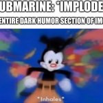 *prepares to mass produces 2,000,000 unfunny memes | SUBMARINE: *IMPLODES; THE ENTIRE DARK HUMOR SECTION OF IMGFLIP: | image tagged in yakko inhale,memes,submarine,oceangate,implosion,dark humor | made w/ Imgflip meme maker