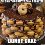 Donut cake | THE ONLY THING BETTER THAN A DONUT IS: | image tagged in donut cake | made w/ Imgflip meme maker