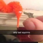 any last squirms