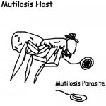 Mutilosis