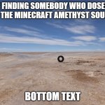 Amethyst is the best sound-block | ME FINDING SOMEBODY WHO DOSEN'T LIKE THE MINECRAFT AMETHYST SOUNDS:; BOTTOM TEXT | image tagged in me finding somebody who asked meme new | made w/ Imgflip meme maker