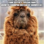 Sh*t... I have a date in 1 hour... | WHEN YOU ACCIDENTALLY USED YOUR SISTER'S "SPECIAL HAIR GROWTH" SHAMPOO INSTEAD OF SHOWER GEL | image tagged in hairy camel | made w/ Imgflip meme maker