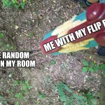 Me when I: | ME WITH MY FLIP FLOP; THE RANDOM BUG IN MY ROOM | image tagged in caption this related to insects | made w/ Imgflip meme maker