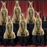 The Trump Kangaroo Supreme Court, no precedents, just politics meme