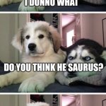 Do you think he saurus bad pin dogs | WHAT DO YOU CALL A BLIND DINOSAUR? I DUNNO WHAT; DO YOU THINK HE SAURUS? | image tagged in bad pun dogs | made w/ Imgflip meme maker