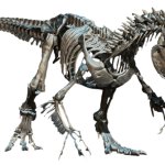 Indominus Rex Skeleton