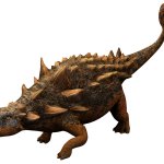 Euoplocephalus (JWA Design)