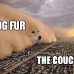 Doge Cloud | DOG FUR; THE COUCH | image tagged in doge cloud | made w/ Imgflip meme maker