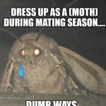 Moth | DUMB WAYS TO DIE! DRESS UP AS A (MOTH) DURING MATING SEASON.... DUMB WAYS TO DIEEE | image tagged in moth | made w/ Imgflip meme maker