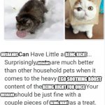 can husbands have a little being right? | BEING RIGHT; HUSBANDS; HUSBANDS; EGO SOOTHING BOOST; BEING RIGHT FOR ONCE; HUSBAND; BEING RIGHT | image tagged in cats can have a little salami as a treat | made w/ Imgflip meme maker