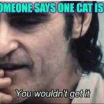 Imagine wanting one potato chip | WHEN SOMEONE SAYS ONE CAT IS ENOUGH | image tagged in you wouldn't get it,cats,cat memes | made w/ Imgflip meme maker