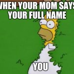 homer disappears into bush | WHEN YOUR MOM SAYS 
YOUR FULL NAME; YOU | image tagged in homer disappears into bush | made w/ Imgflip meme maker