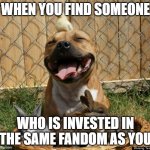 Pitbull Haters | WHEN YOU FIND SOMEONE; WHO IS INVESTED IN THE SAME FANDOM AS YOU | image tagged in pitbull haters | made w/ Imgflip meme maker