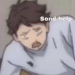 My wife is a nerd, send help | MY WIFE IS A NERD | image tagged in oikawa send help | made w/ Imgflip meme maker
