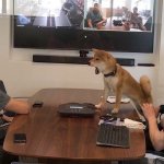 meeting