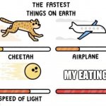 And yes, I eat really quickly | MY EATING | image tagged in the fastest things on earth cheetah airplane speed of light,eating,food,food memes,relatable,relatable memes | made w/ Imgflip meme maker