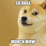 The Doge | SO DOGE; MUNCH WOW | image tagged in doge meme | made w/ Imgflip meme maker