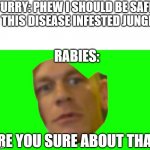 LOL | FURRY: PHEW I SHOULD BE SAFE IN THIS DISEASE INFESTED JUNGLE. RABIES:; ARE YOU SURE ABOUT THAT | image tagged in are you sure about that cena | made w/ Imgflip meme maker
