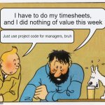Timesheets | I have to do my timesheets, and I did nothing of value this week; Just use project code for managers, bruh | image tagged in what a week huh | made w/ Imgflip meme maker