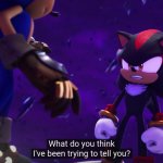 shadow what do you think ive been trying to tell you