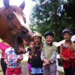 Funny horse photobomb