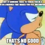 It's your body, No one has the right to touch it if you don't want them to | BUT IF SOMEONE TRIES TO TOUCH YOU IN A WAY OR IN A MANNER THAT MAKES YOU FEEL UNCOMFORTABLE; THAT'S NO GOOD | image tagged in sonic that's no good | made w/ Imgflip meme maker
