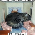 giant cat | IT WAS AT THIS EXACT MOMENT THAT I REALIZED; I HAD WASTED MY FIRST WISH | image tagged in giant cat | made w/ Imgflip meme maker