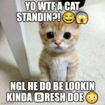 The cat looks fresh af | YO WTF A CAT STANDIN?! 😂😱; NGL HE DO BE LOOKIN KINDA 🅱️RESH DOE 😳 | image tagged in el gato | made w/ Imgflip meme maker