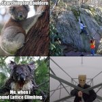 Bouldern | image tagged in climbing,latticeclimbing,bouldern,koala,template | made w/ Imgflip meme maker