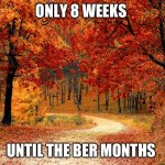 Only 8 weeks until the Ber Months | ONLY 8 WEEKS; UNTIL THE BER MONTHS | image tagged in road in autumn | made w/ Imgflip meme maker