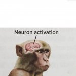 Monke neuron activation