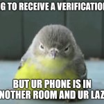 Lazy Chonk Bird | HAVING TO RECEIVE A VERIFICATION TEXT; BUT UR PHONE IS IN ANOTHER ROOM AND UR LAZY. | image tagged in chonky bird | made w/ Imgflip meme maker