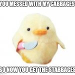 Do yourself a favor, don't mess with his cabbages | YOU MESSED WITH MY CABBAGES; SO NOW YOU GET THE STABBAGES | image tagged in duck with knife | made w/ Imgflip meme maker