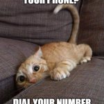 But you don't have a phone anymore! | YOU LOST YOUR PHONE? DIAL YOUR NUMBER SO THAT YOU CAN FIND IT | image tagged in crazy cat,dumb,insane,bread,whatever,why are you reading the tags | made w/ Imgflip meme maker