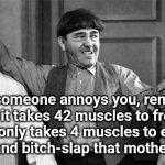 Annoying People | When someone annoys you, remember that it takes 42 muscles to frown, but it only takes 4 muscles to extend your arm and bitch-slap that mother@#?V6%. | image tagged in three stooges,bitch slap | made w/ Imgflip meme maker