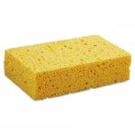 Sponge not bob