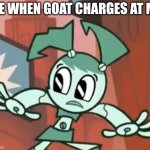 Oof | ME WHEN GOAT CHARGES AT ME | image tagged in jenny escaping | made w/ Imgflip meme maker