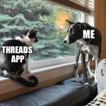 Threads App | ME; THREADS 
APP | image tagged in launch of threads social app,grumpy cat,cats and dogs living together,social media,funny dogs,memes | made w/ Imgflip meme maker